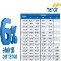 Terbukti Berhasil! Tips Ajukan Pinjaman Mandiri Online agar Di-ACC Tanpa Drama Di Tahun 2025