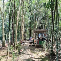 Hutan Kota Ranggawulung di Subang Menuju Tahura yang Minim Anggaran