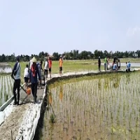 Dukung Ketahanan Pangan, Pemdes Rangdu di Subang Bangun Jalan Pertanian