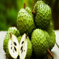 10 Manfaat Buah Sirsak untuk Kesehatan Tubuh