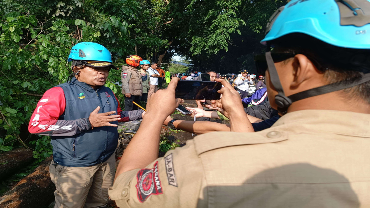 Tagana Kabupaten Subang