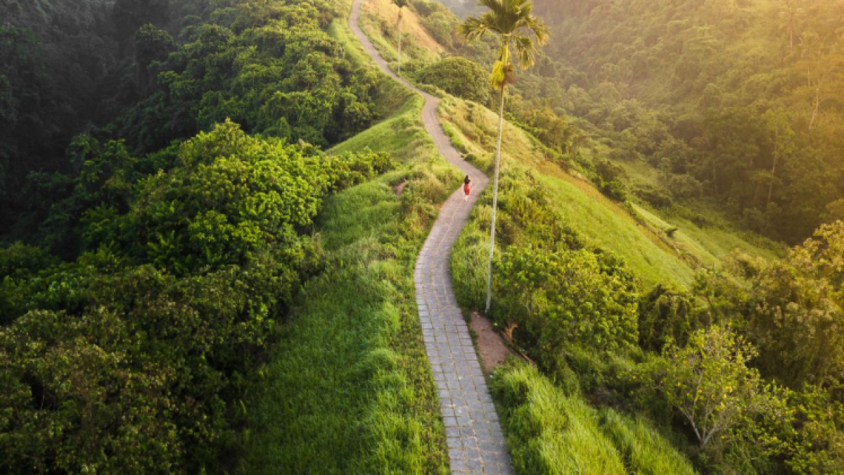 Gak Mau Pulang, Maunya Liburan! Ini Dia 5 Tempat WIsata di Ubud yang lagi Hits banget