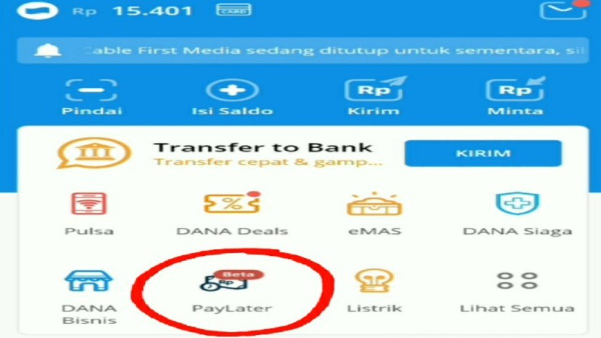 Alasan Kenapa DANA Paylater Tidak Muncul Padahal Akun Sudah Premium