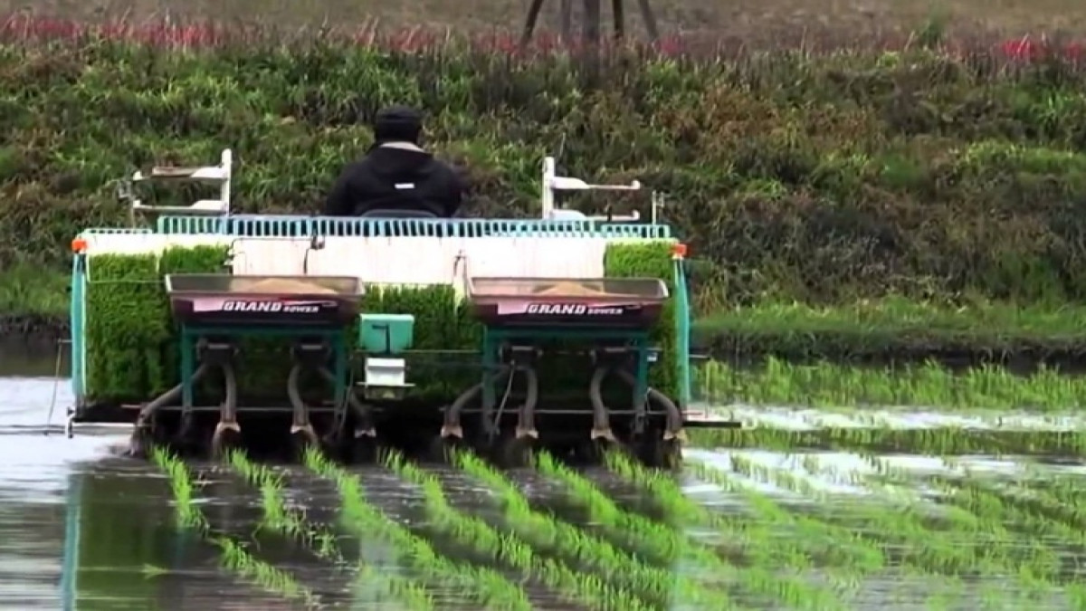 Petani Jepang Kini Pakai Perahu Otomatis, Cocok Nggak Buat Indonesia?