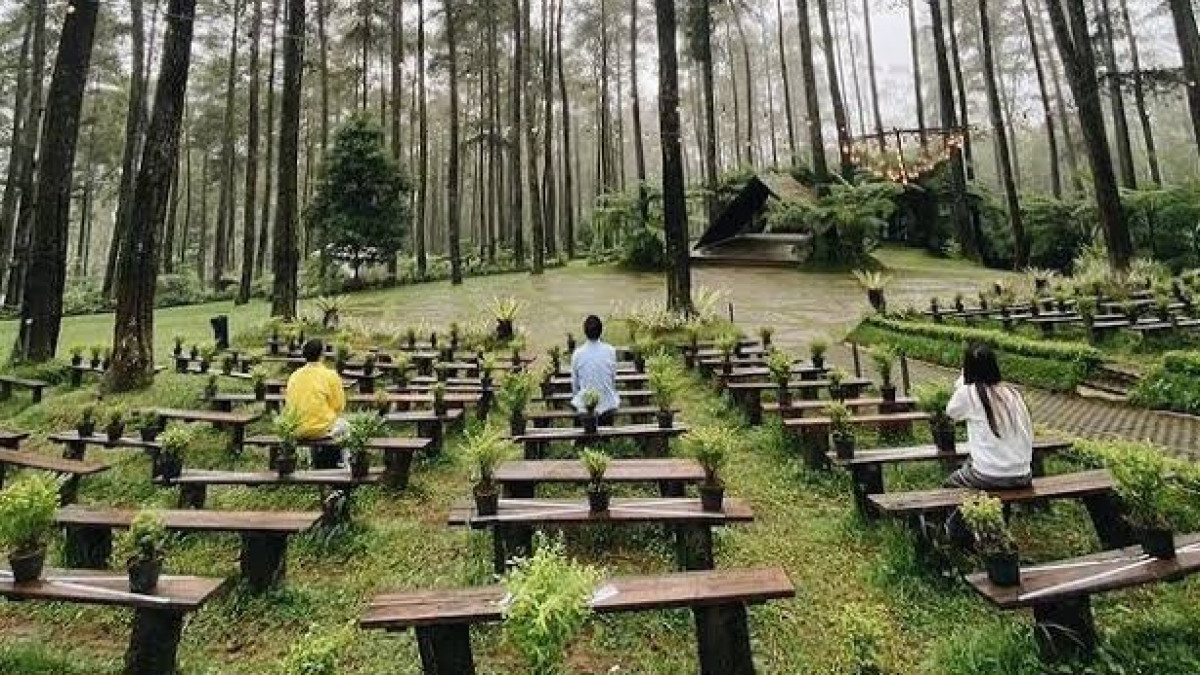 Spot Foto dan Pemandangan Estetik di Pines Jungle Cottage Lembang, Piknik Seru yang Menyejukkan