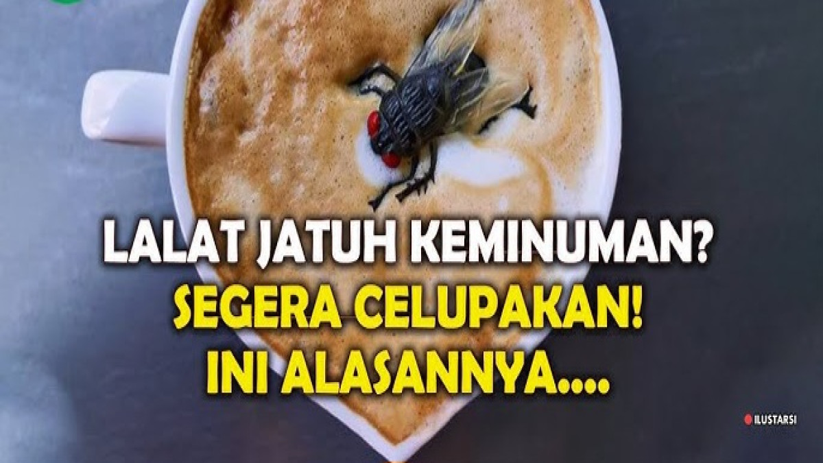 Lalat Jatuh ke Minuman? Begini Cara Aman yang Udah Disarankan Rasulullah!