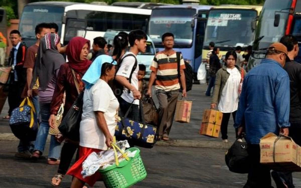 info mudik gratis 2024