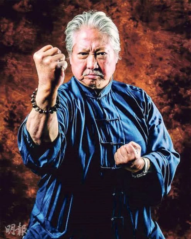 Sammo Hung dan Dedikasi Tanpa Batas di Balik Layar Ip Man 2