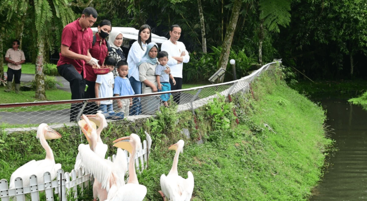 Akhir Pekan Bersama Keluarga, Presiden Jokowi Ajak Cucu Wisata Pengenalan Satwa