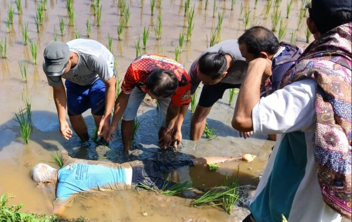 CINDY DESITA PUTRI/PASUNDAN EKSPRES.  Tim gabungan saat menemukan jasad kakek Abad di sawah Desa Bendungan, Kecamatan Pagaden Barat.