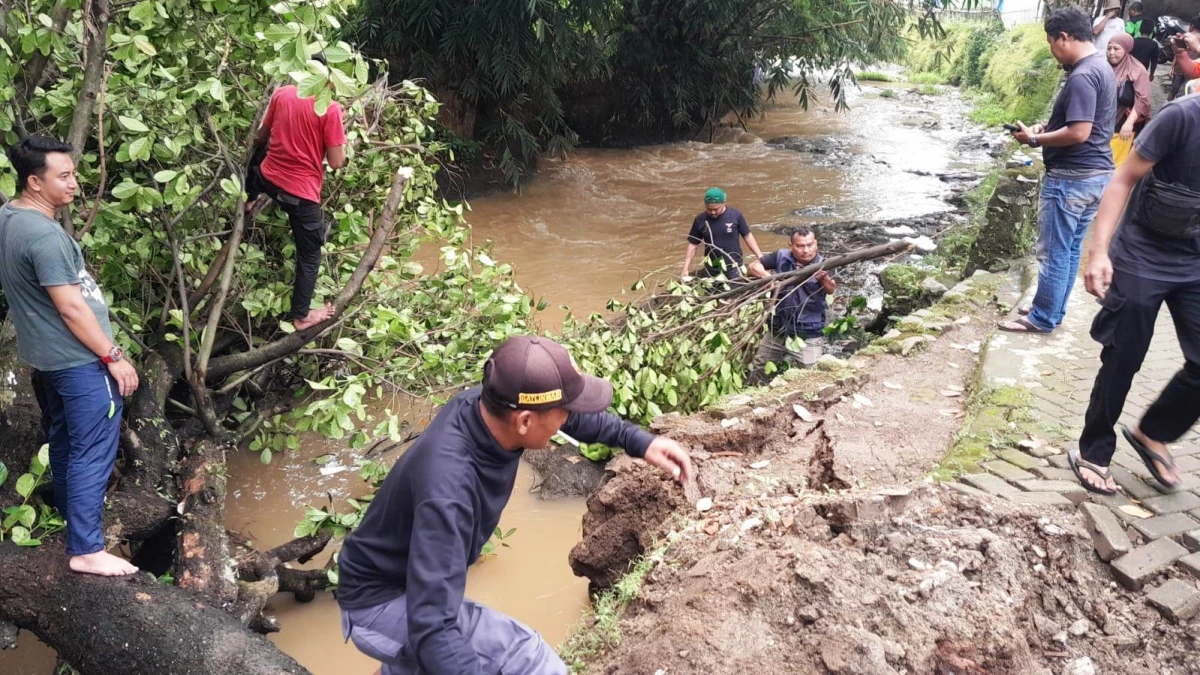 Sindangkasih