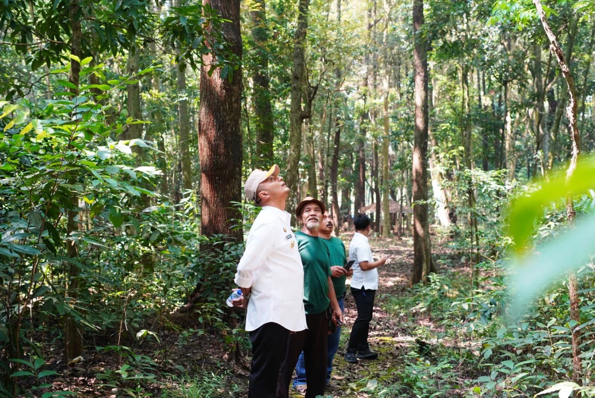 Hutan Kota Ranggawulung