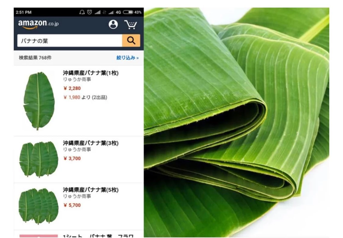 Fantastik! Harga Daun Pisang di Jepang Bisa Semahal Ini