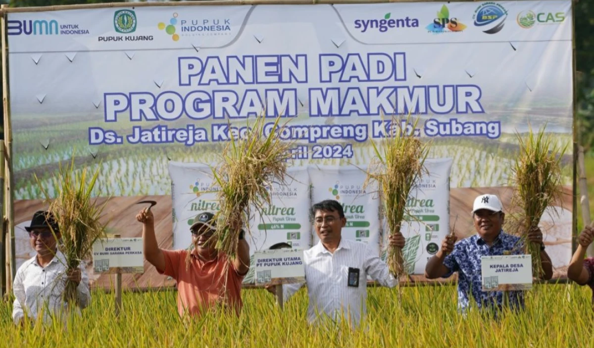 Panen Padi di Kabupaten Subang