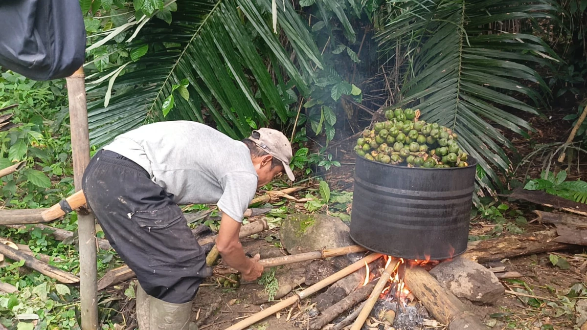 Kolang-kaling