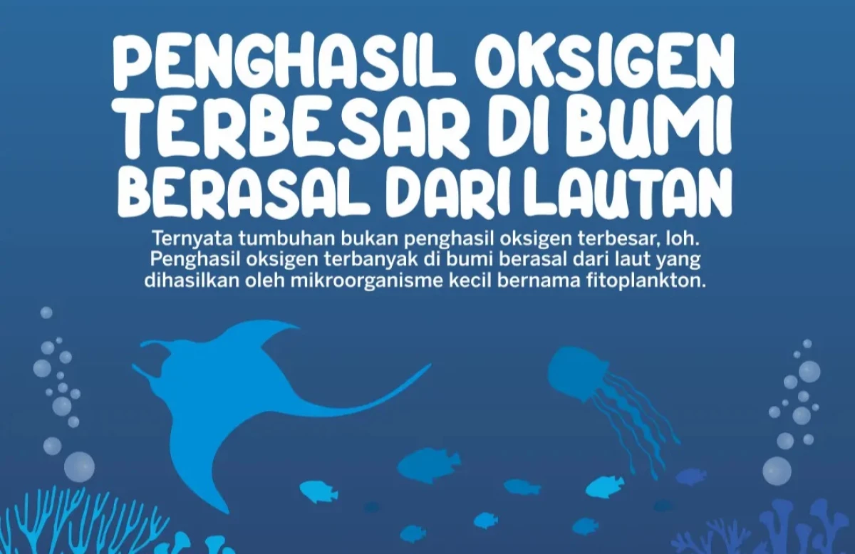 Bukan Pohon Penghasil Oksigen Terbesar di Dunia Berasal Dari Lautan