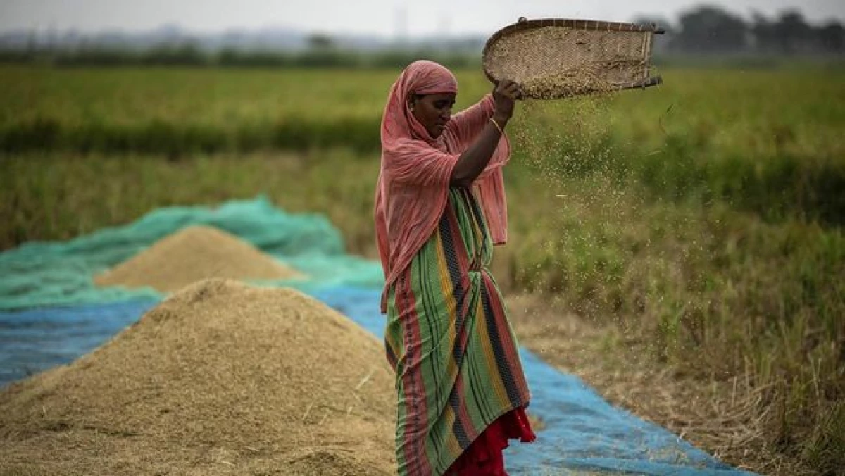 Benarkah Harga Beras Mahal, Karena Pemilu di India? (Sumber Foto CNN Indonesia)