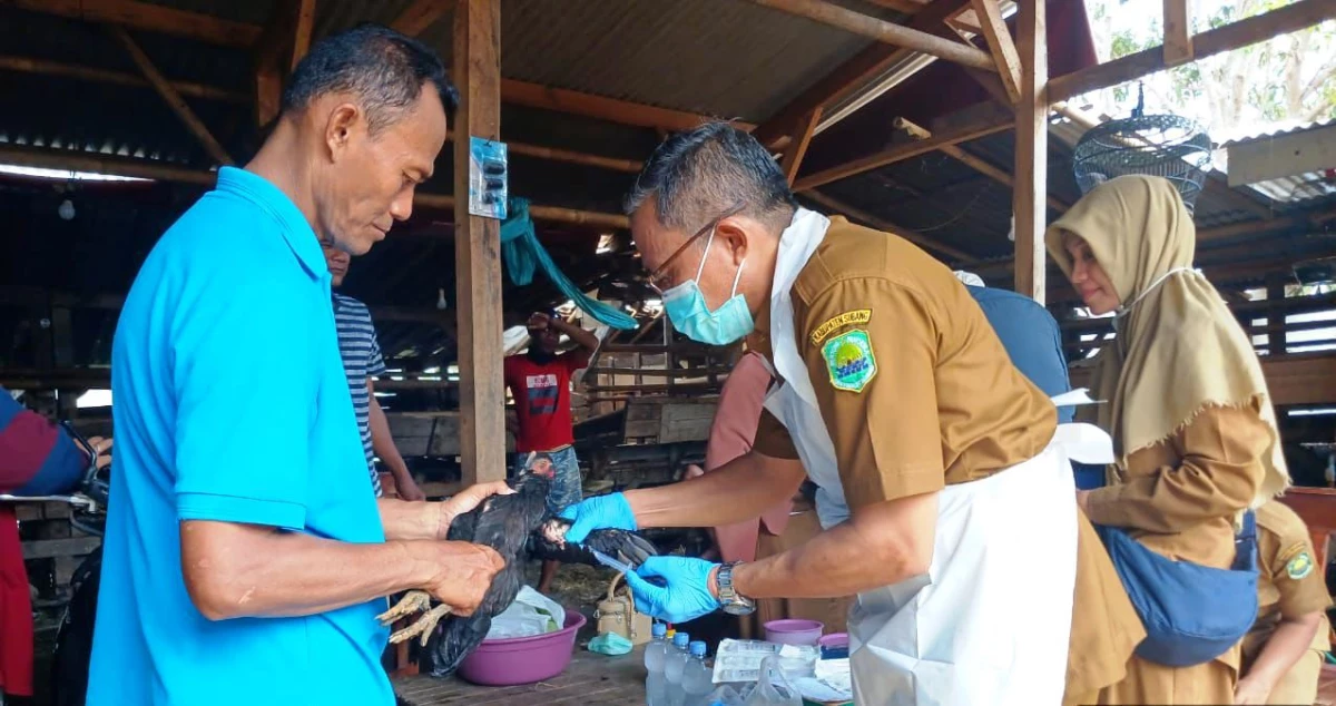 Dinas Kesehatan Hewan Kabupaten Subang