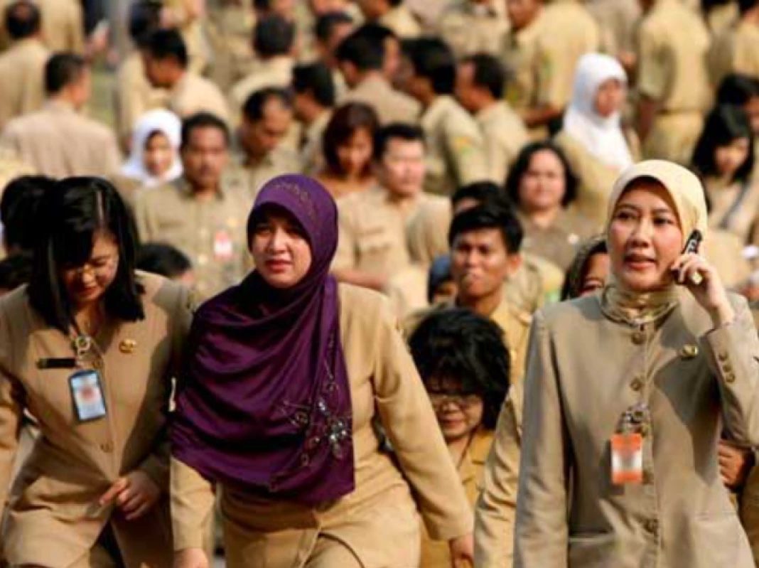 Daftar Sekolah Kedinasan yang Lulus Langsung Jadi PNS