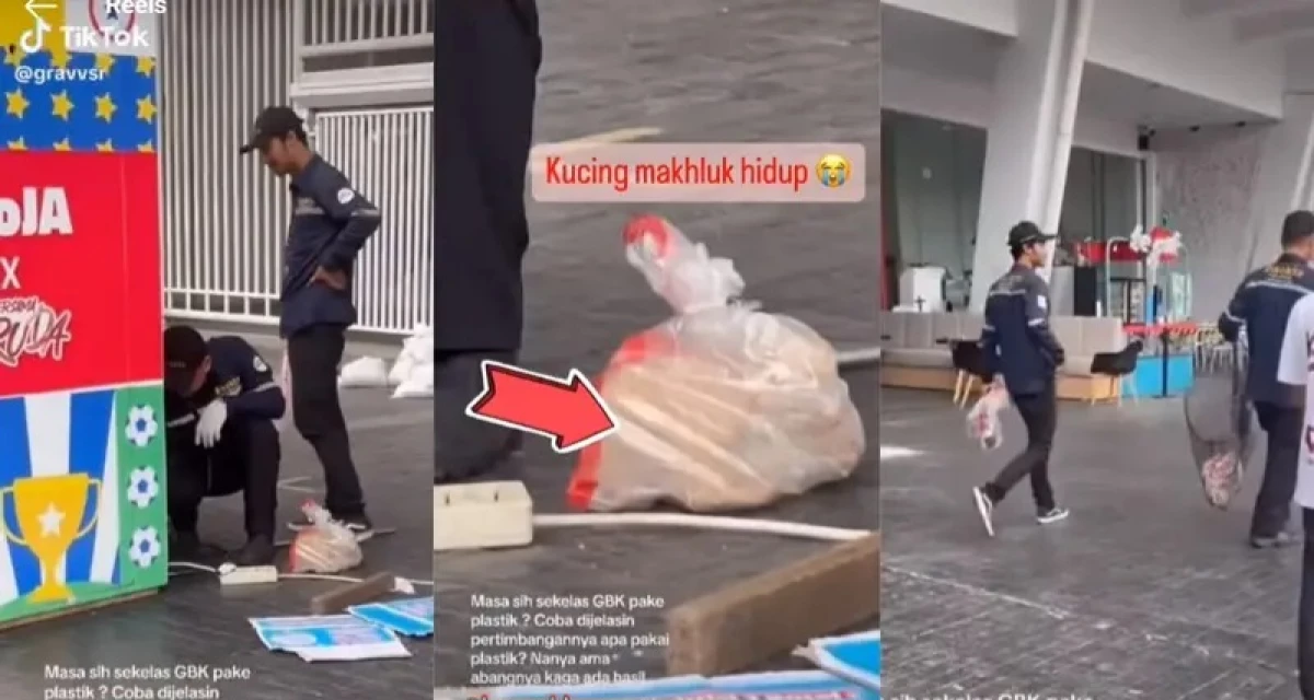 Respon Pengelola Gelora Bung Karno (GBK) terhadap Video Viral Relokasi Kucing Liar