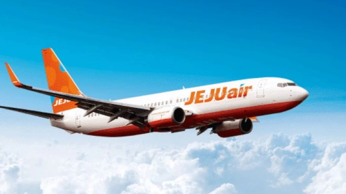 Tragedi Kecelakaan Pesawat Jeju Air: Pemerintah Korea Selatan Tingkatkan Penyelidikan dan Inspeksi