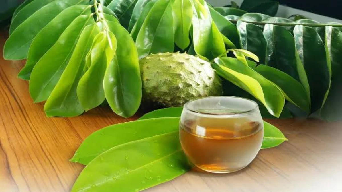 5 Daun Herbal untuk Menjaga Gula Darah yang Gampang Dicari Sekitar Rumah