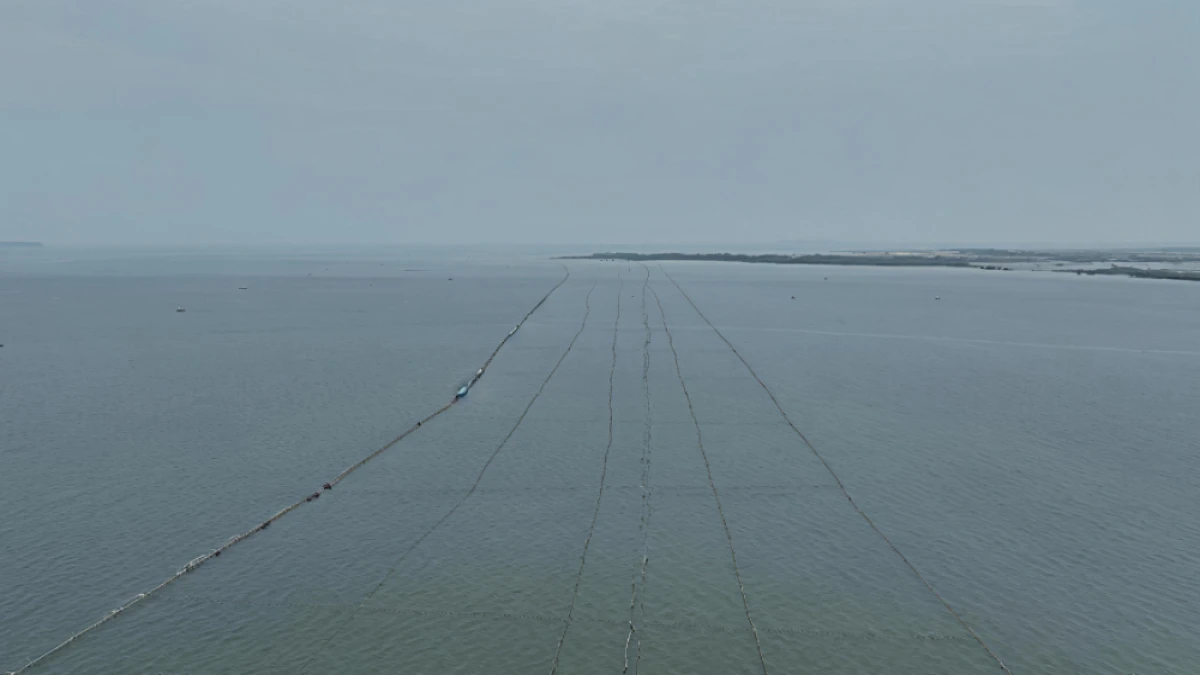 Pagar Laut Misterius Sepanjang 30 Km Membentang di Laut Tangerang, Nelayan Sulit Beraktivitas