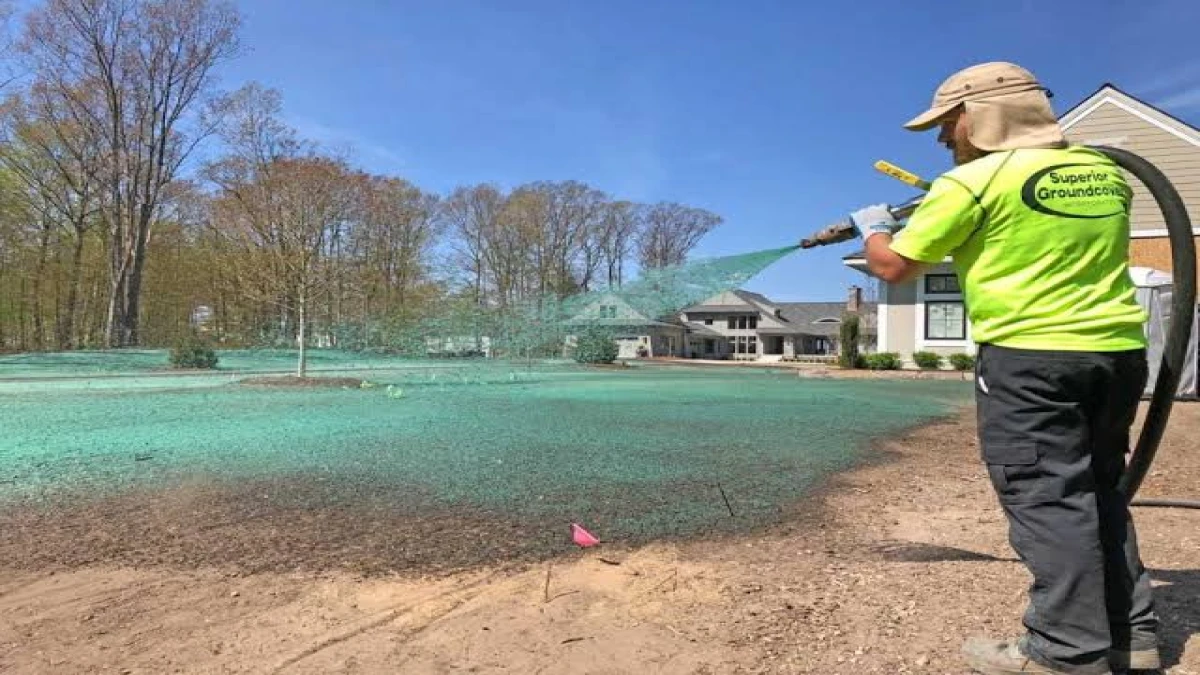 Kenapa Ada Orang Semprot Cat Hijau ke Tanah? Ternyata Ini Teknik Hydroseeding