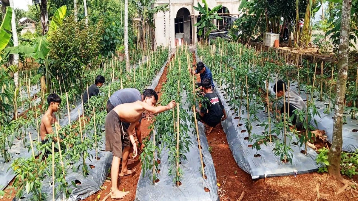 Ponpes Kebangsaan Siti Aminah Pasir Maung