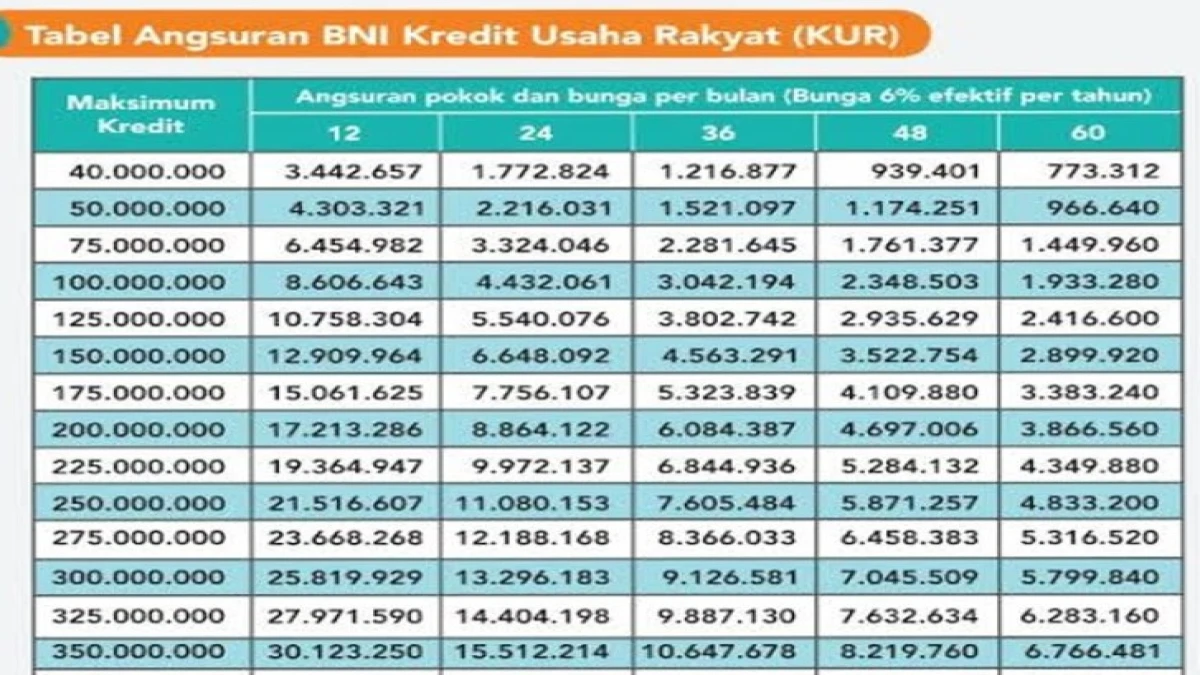 KUR BNI 2025