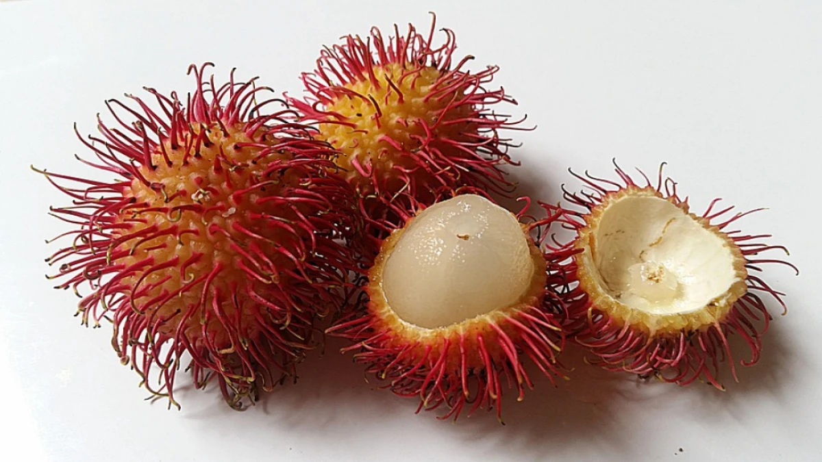 Lagi Musim Nih, Beragam Manfaat Buah Rambutan untuk Kesehatan