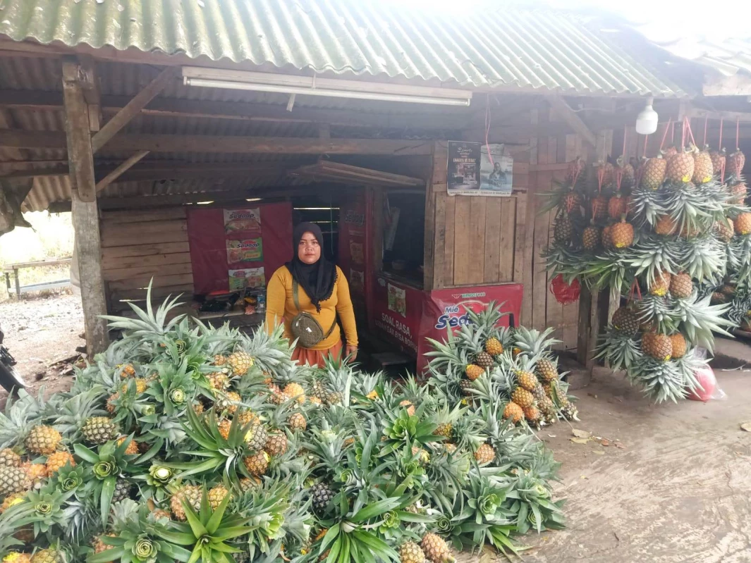 Nanas di Subang