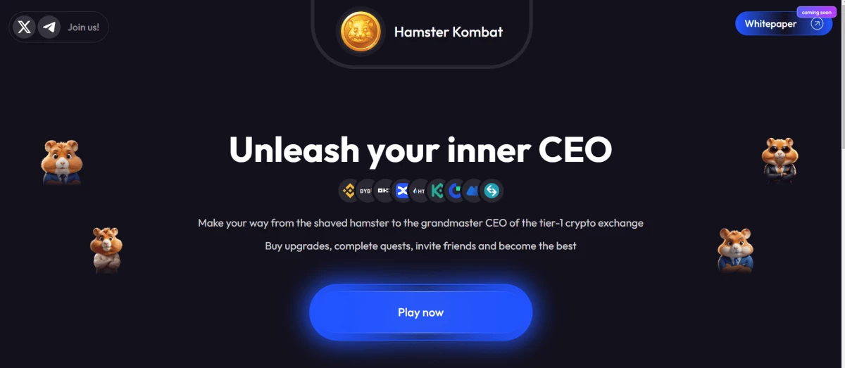 Cara Download dan Main Hamster Kombat Coin dengan Mudah