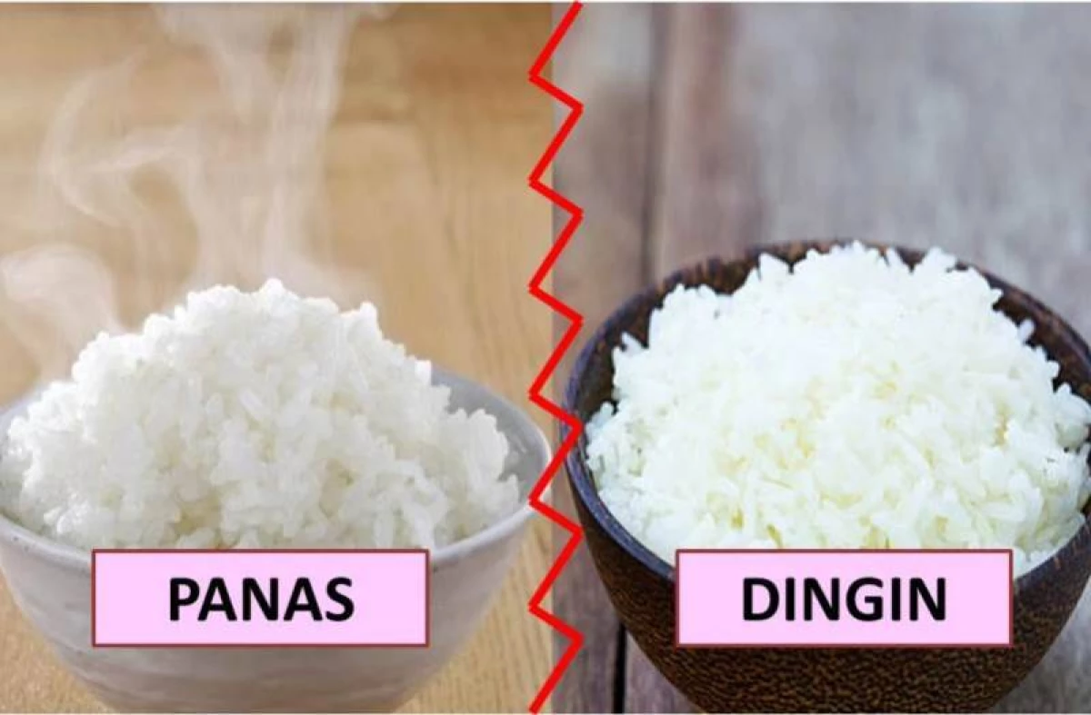 Menarik Nih! Mitos dan Fakta Nasi Dingin vs. Nasi Panas dalam Konteks Kesehatan Mana yang Lebih Baik? (Sumber Foto Lemon8)