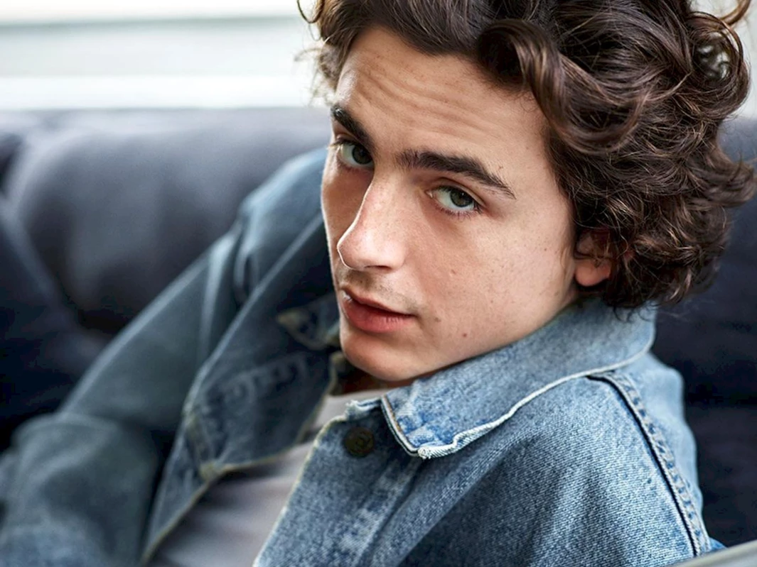 Timothée Chalamet Tampil Jadul di Teaser Film Biopik Bob Dylan