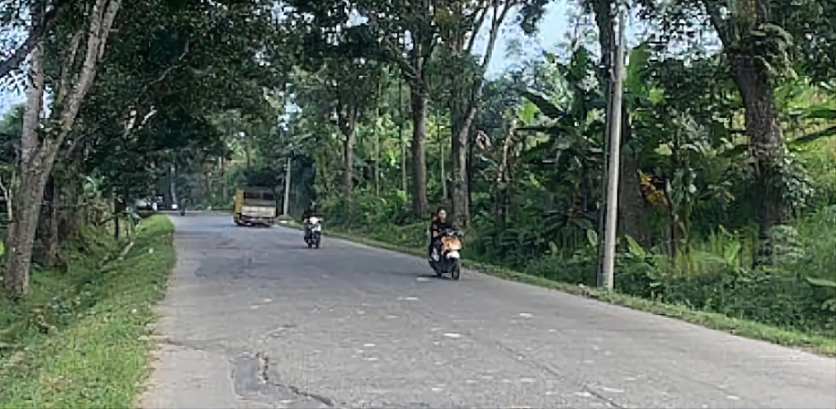 Jalur Tikus untuk Menghindari Kemacetan