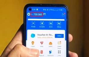 Saldo yang tertera di aplikasi DANA (sumber Foto: YouTube TheHerlinoOfficial)