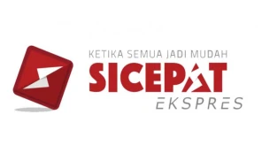 Lagi Nunggu Paket? Ini 3 Cara Cek Nomor Resi SiCepat via Online