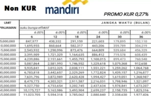 Tabel Cicilan Pinjaman Non KUR Bank Mandiri Terbaru 2025